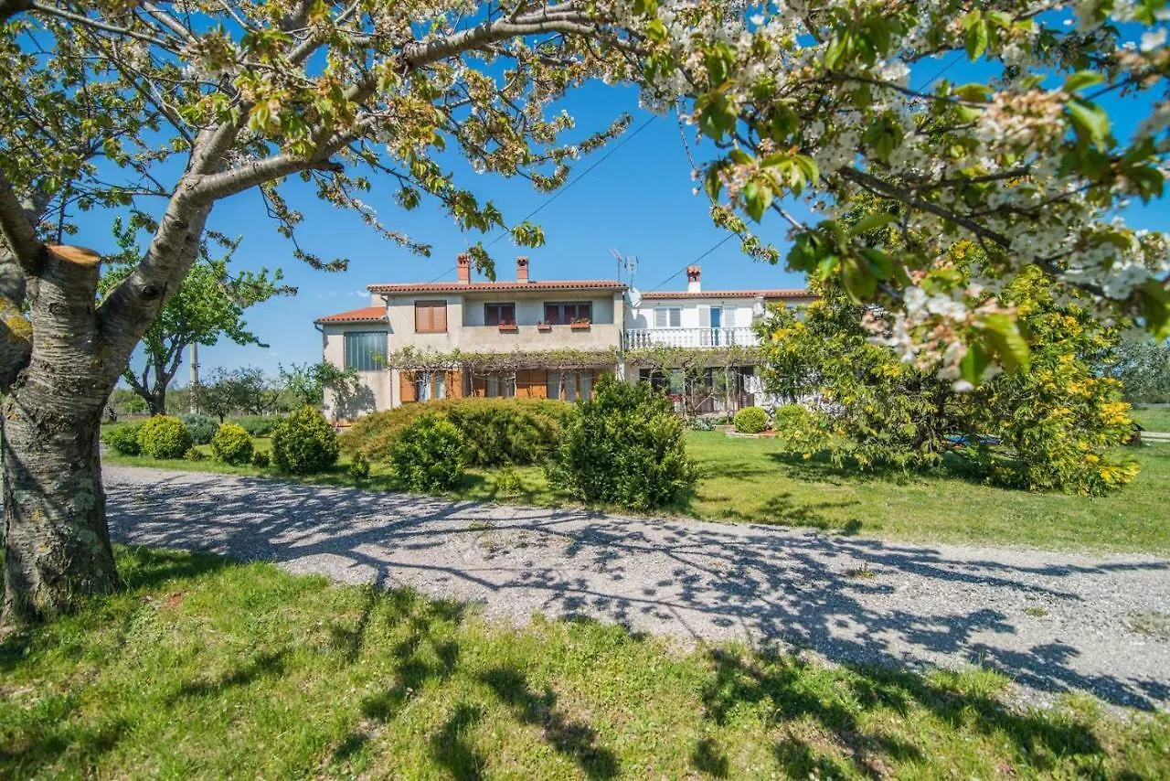 Apartment With Terrace In Filipana Marcana